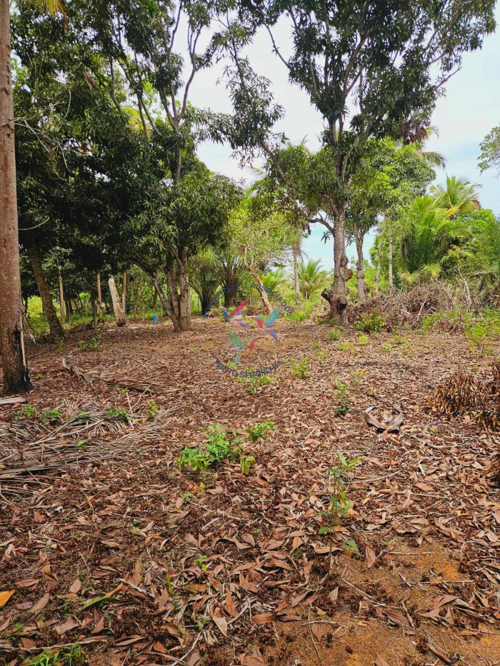 Terreno/Lote à venda  no Caraiva - Porto Seguro, BA. Imóveis