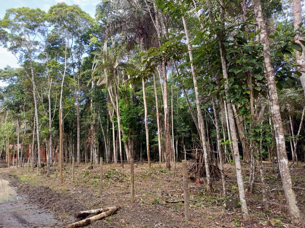 Terreno - Venda - Trancoso - Porto Seguro - BA